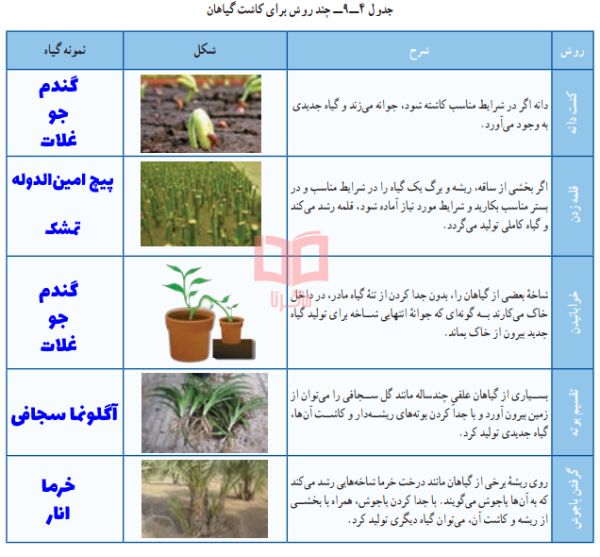 حل پودمان 9 کاروفناوری هفتم درس پرورش و نگه داری گیاهان