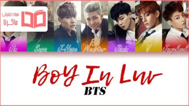 متن و ترجمه آهنگ Boy in Luv از BTS