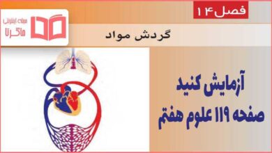 جواب آزمایش کنید صفحه ۱۱۹ علوم هفتم