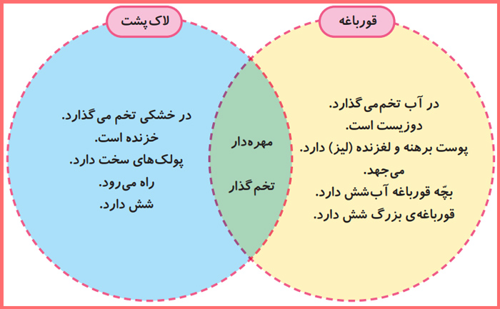 گام به گام فصل سیزدهم علوم تجربی سوم دبستان