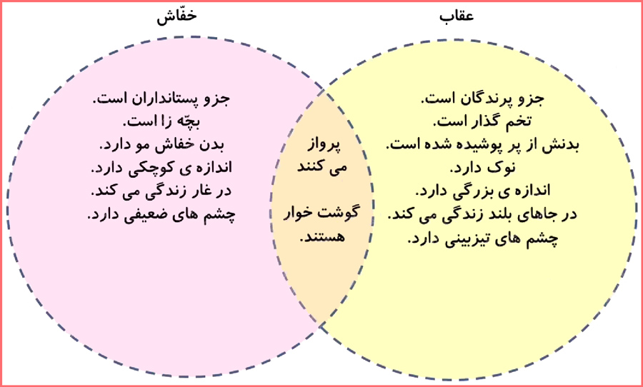 توضیح سوالات صفحه 124 علوم سوم ابتدایی