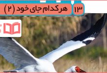 جواب فصل سیزدهم ۱۳ علوم سوم ابتدایی