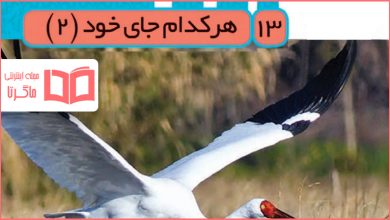 جواب فصل سیزدهم ۱۳ علوم سوم ابتدایی