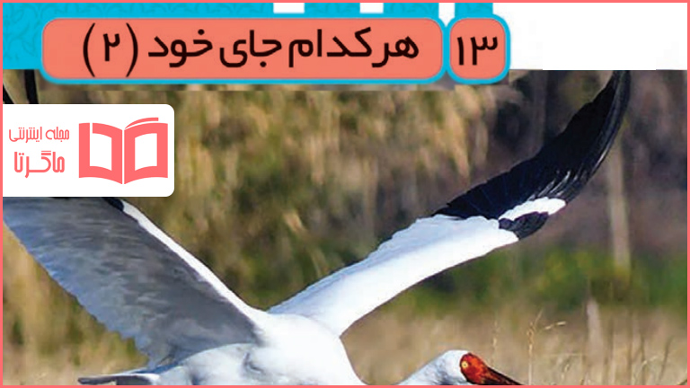 جواب فصل سیزدهم ۱۳ علوم سوم ابتدایی