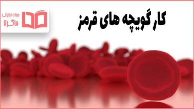 کار گویچه های قرمز چیست علوم هفتم