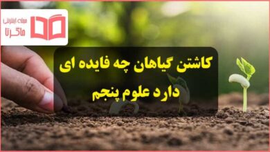 کاشتن گیاهان چه فایده ای در سطح کره ی زمین دارد علوم پنجم