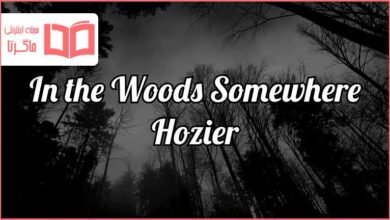 متن و ترجمه آهنگ In the Woods Somewhere از Hozier
