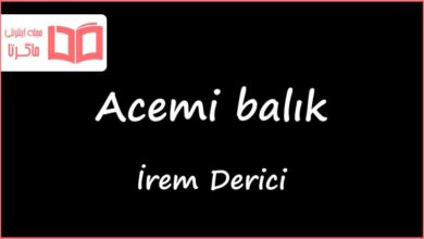 متن و ترجمه آهنگ Acemi Balik از Irem Derici