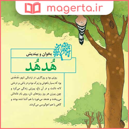معنی کلمات ، هم خانواده و متضاد درس هدهد فارسی ششم دبستان
