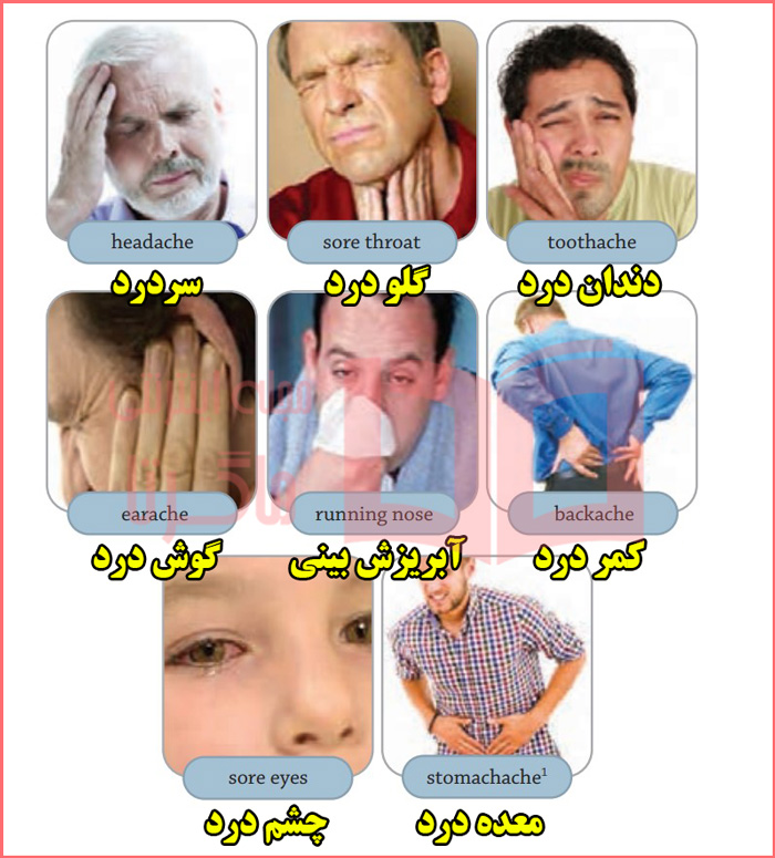 معنی کلمات صفحه ۳۵ درس ۴ زبان هشتم