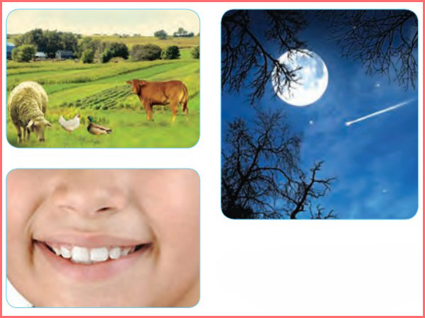 جواب سوالات ببین و بگو صفحه ۱۲ درس اول هدیه های آسمان چهارم ابتدایی