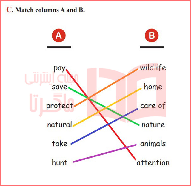جواب تمرین C بخش سوم صفحه ۱۶ درس یک کتاب کار زبان دهم