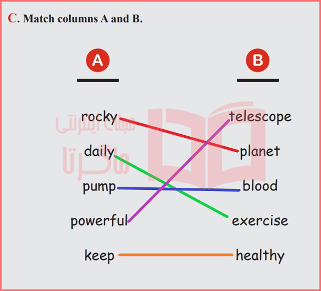 جواب تمرین C بخش سوم صفحه ۳۴ درس ۲ کتاب کار زبان دهم