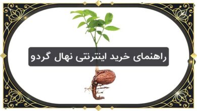راهنمای خرید اینترنتی نهال گردو