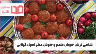 طرز تهیه شامی ترش گیلانی