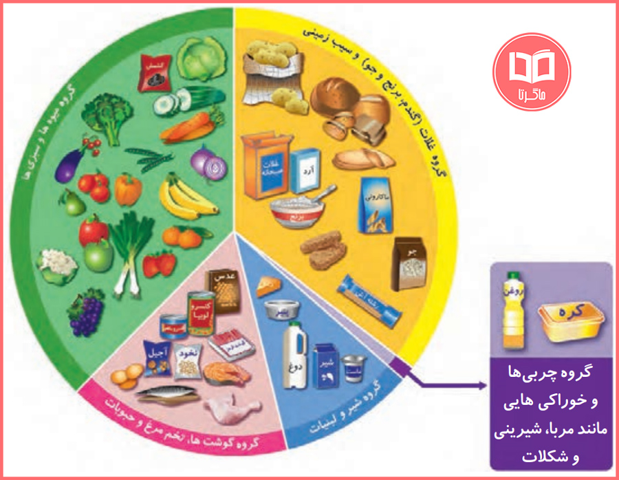 گام به گام درس دوم علوم تجربی سوم ابتدایی