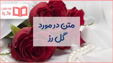 متن درباره گل رز