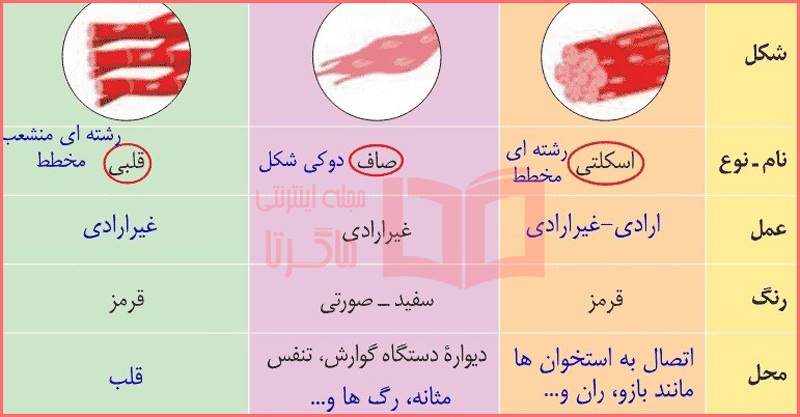 جواب جدول صفحه 44 فصل پنجم علوم هشتم