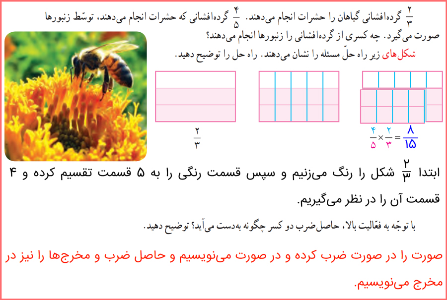 پاسخ فعالیت صفحه 34 ریاضی پایه پنجم ابتدایی