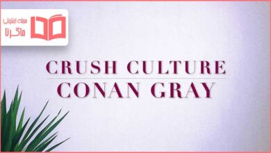 متن و ترجمه آهنگ Crush Culture از Conan Gray