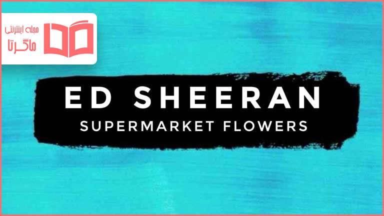 متن و ترجمه آهنگ Supermarket Flowers از Ed Sheeran