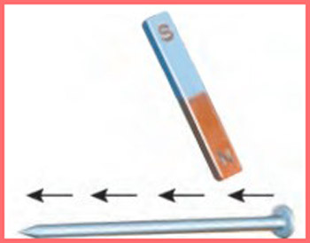 شکل فعالیت صفحه ۶۳ علوم تجربی چهارم