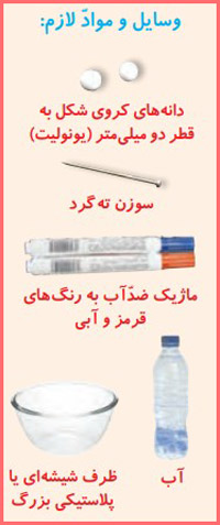 شکل فعالیت صفحه ۶۴ علوم تجربی چهارم