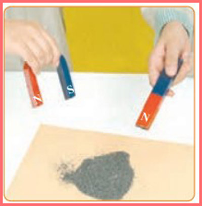 شکل فعالیت صفحه ۶۱ علوم چهارم