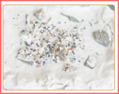 شکل فعالیت صفحه ۵۲ علوم چهارم