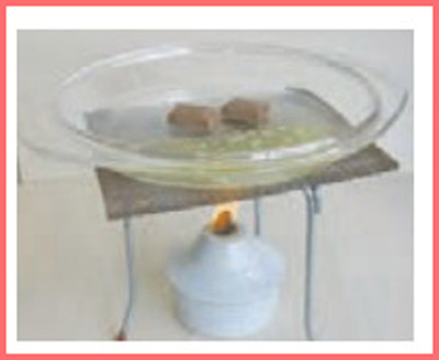 شکل فعالیت صفحه ۵۳ و ۵۴ علوم چهارم