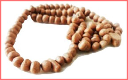 شکل فعالیت صفحه ۵۵ علوم چهارم