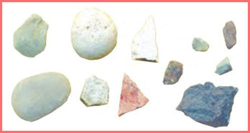 شکل فعالیت صفحه ۴۹ علوم چهارم