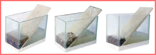 شکل فعالیت صفحه ۵۱ علوم چهارم