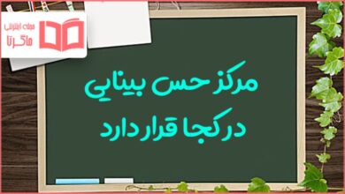 مرکز حس بینایی در کجا قرار دارد؟ علوم هشتم