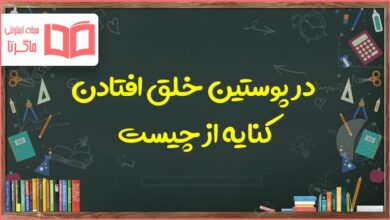 در پوستین خلق افتادن کنایه از چیست