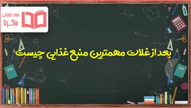 بعد از غلات مهمترین منبع غذایی چیست اجتماعی ششم