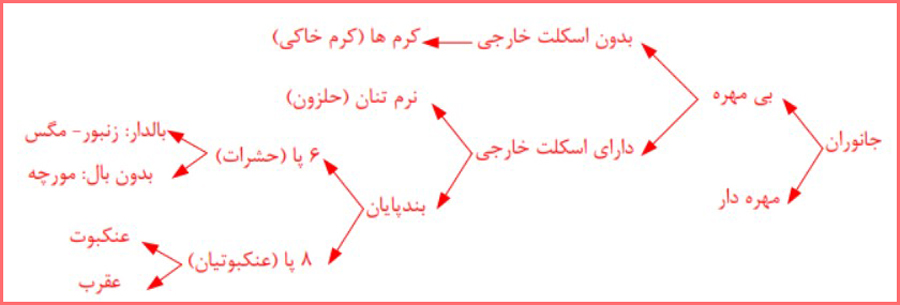 جواب فعالیت صفحه ۱۲۳ فصل ۱۱ علوم نهم