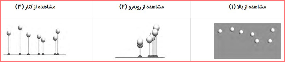 جواب فعالیت صفحه ۶۸ علوم چهارم