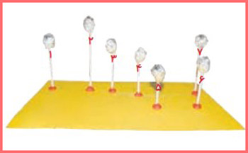 شکل فعالیت صفحه ۶۸ علوم چهارم