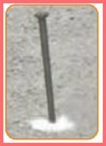 شکل فعالیت صفحه ۷۲ علوم چهارم