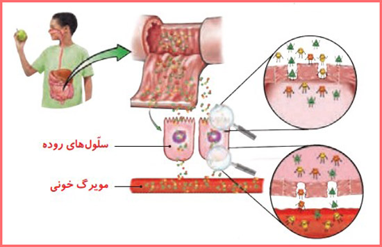 شکل گفت و گو صفحه ۹۰ علوم چهارم