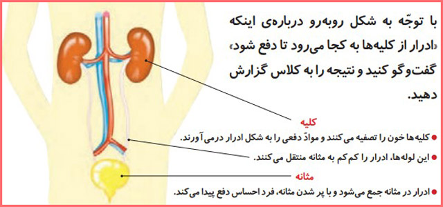 شکل گفت و گو صفحه ۹۱ علوم چهارم