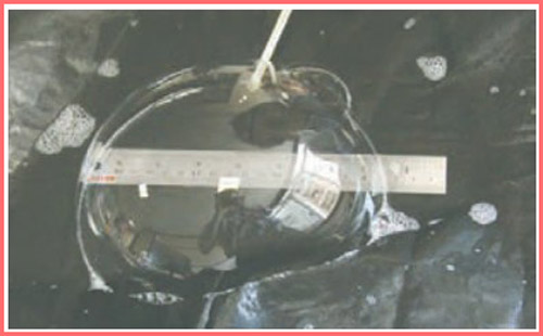 شکل فعالیت صفحه ۸۴ علوم چهارم