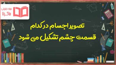 تصویر اجسام در کدام قسمت چشم تشکیل می شود علوم پنجم