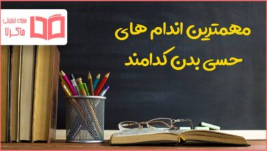 مهمترین اندام های حسی بدن کدامند