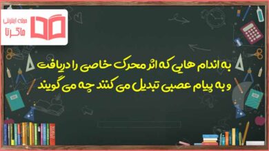 به اندام هایی که اثر محرک خاصی را دریافت و به پیام عصبی تبدیل می کنند چه می گویند