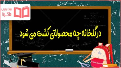 در گلخانه چه محصولاتی کشت می شود