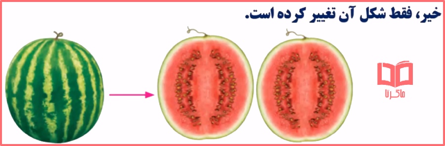 پاسخ سوالات فعالیت صفحه 113 ریاضی پنجم فصل 6