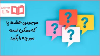 موجودی هشت پا که ممکن است مورچه را بگیرد در جدول