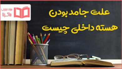 علت جامد بودن هسته داخلی چیست